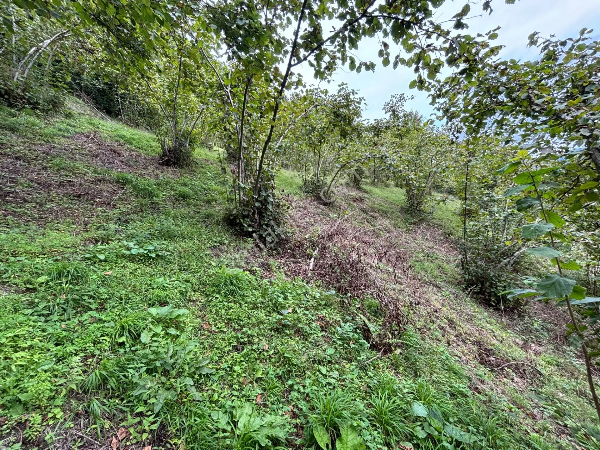 Trabzon Yeşılyurt Mahallesinde Satılık Arsa — fotoğraf 11