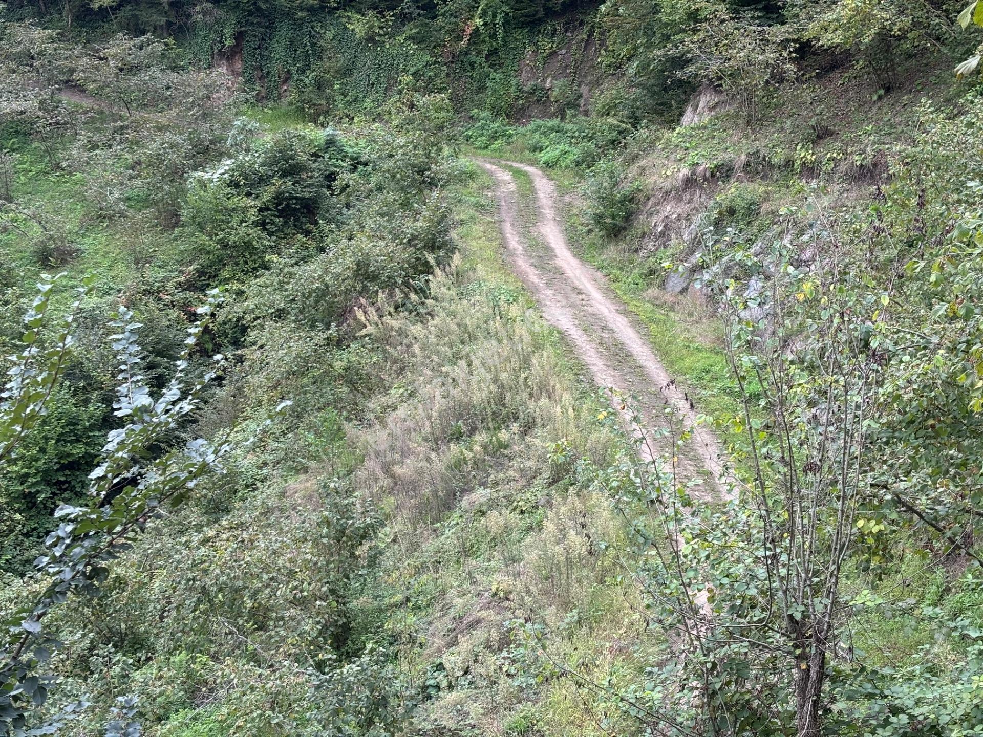 Trabzon Yeşılyurt Mahallesinde Satılık Arsa — fotoğraf 17