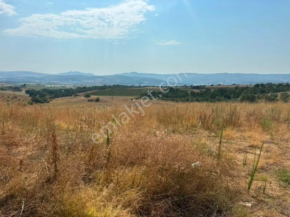 Tc Emlaktan Satılık 38 Dönüm Ekime Hazır Arazi ! — fotoğraf 5