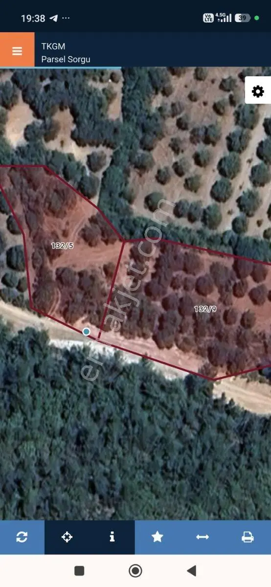 Akhisar Sabancılarda 1.485 M2 Tek Tapu Uygun Fiyatlı Zeytinlik — fotoğraf 22
