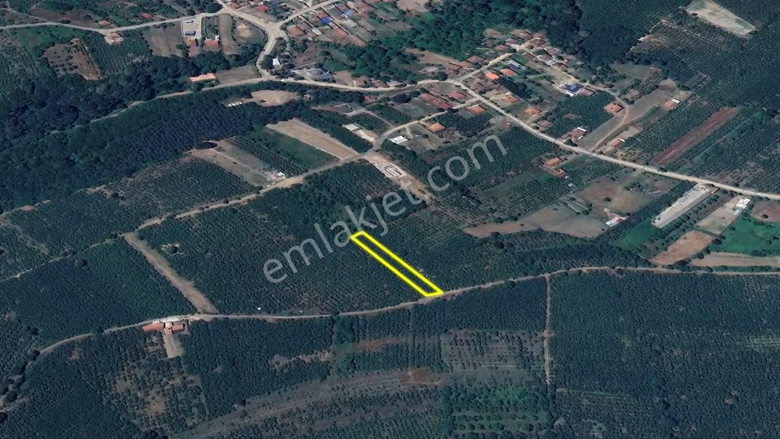 İkramiye De Yola Cephe Yatırımlık Parsel
