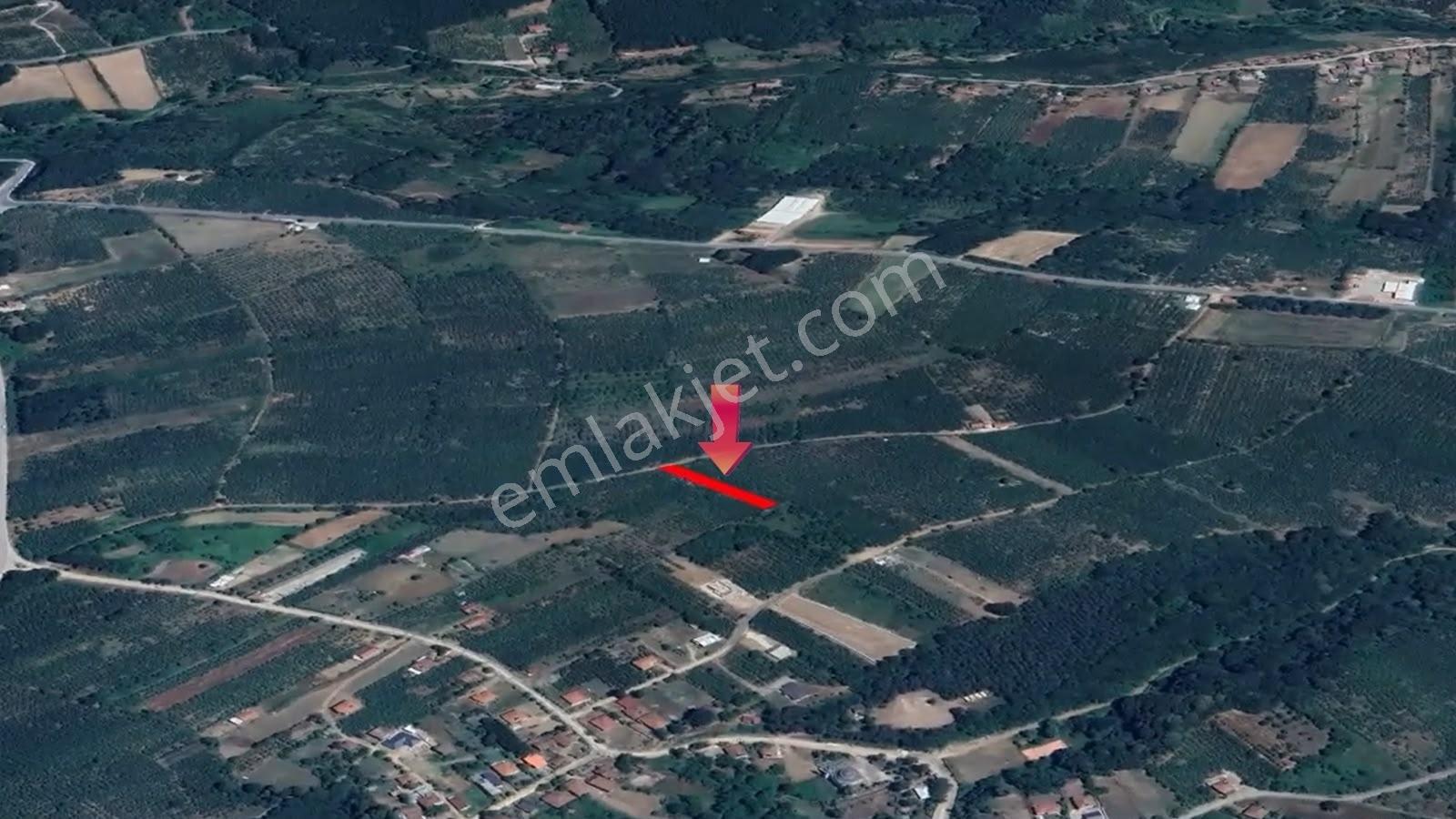 İkramiye De Yola Cephe Yatırımlık Parsel — fotoğraf 3