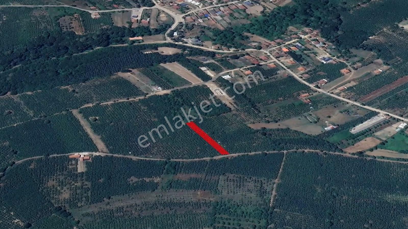 İkramiye De Yola Cephe Yatırımlık Parsel — fotoğraf 8