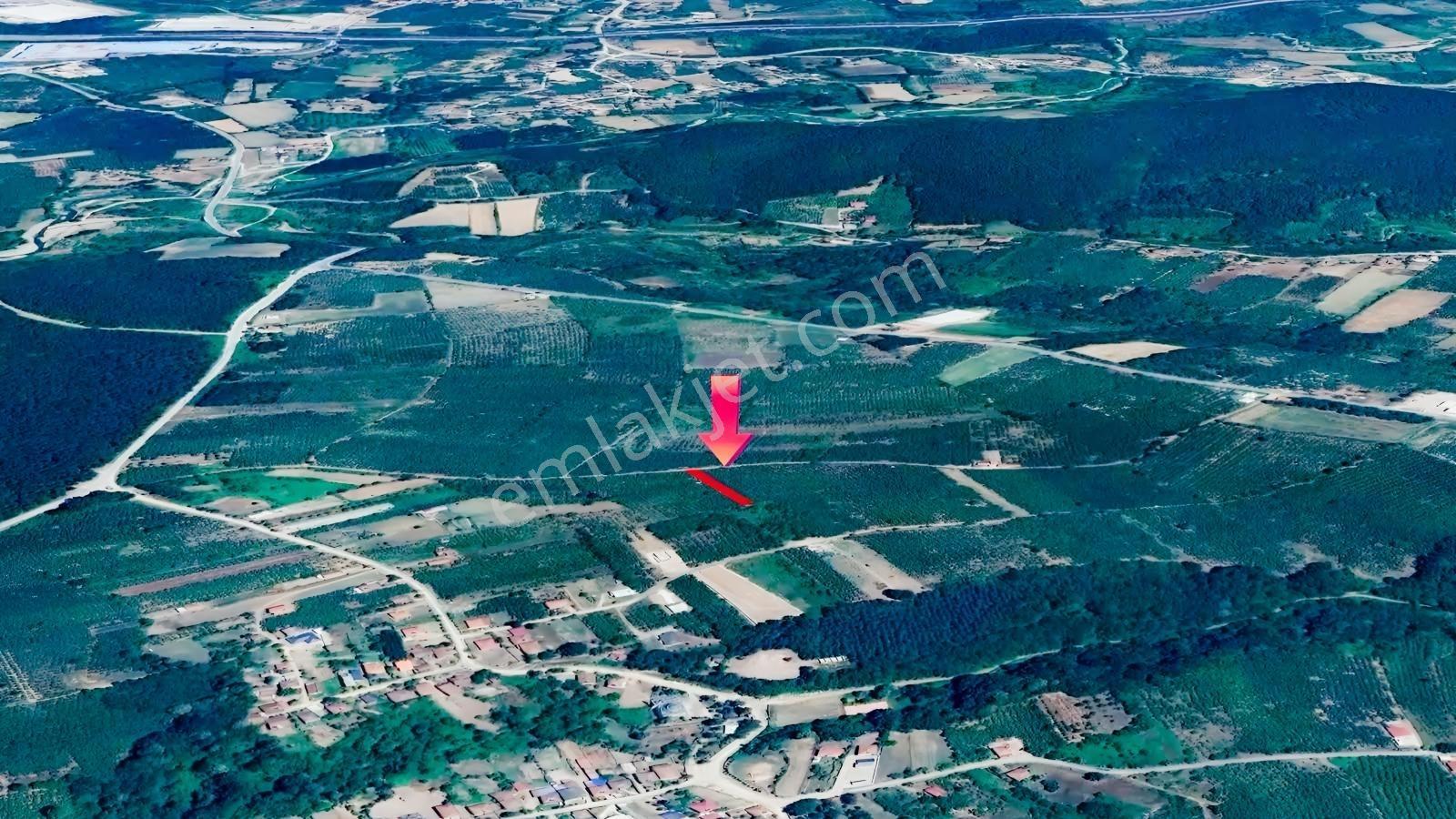 İkramiye De Yola Cephe Yatırımlık Parsel — fotoğraf 9