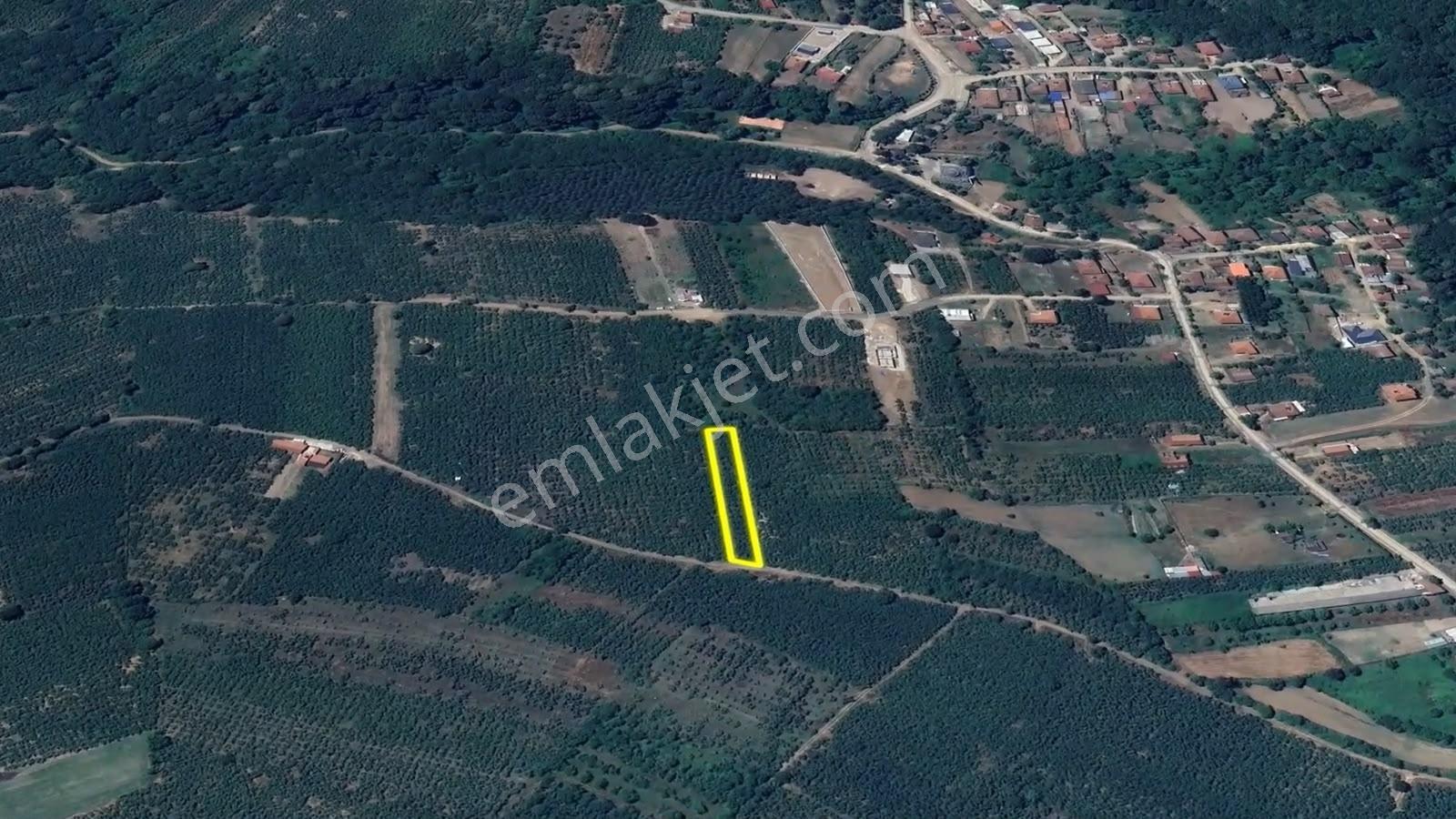 İkramiye De Yola Cephe Yatırımlık Parsel — fotoğraf 12