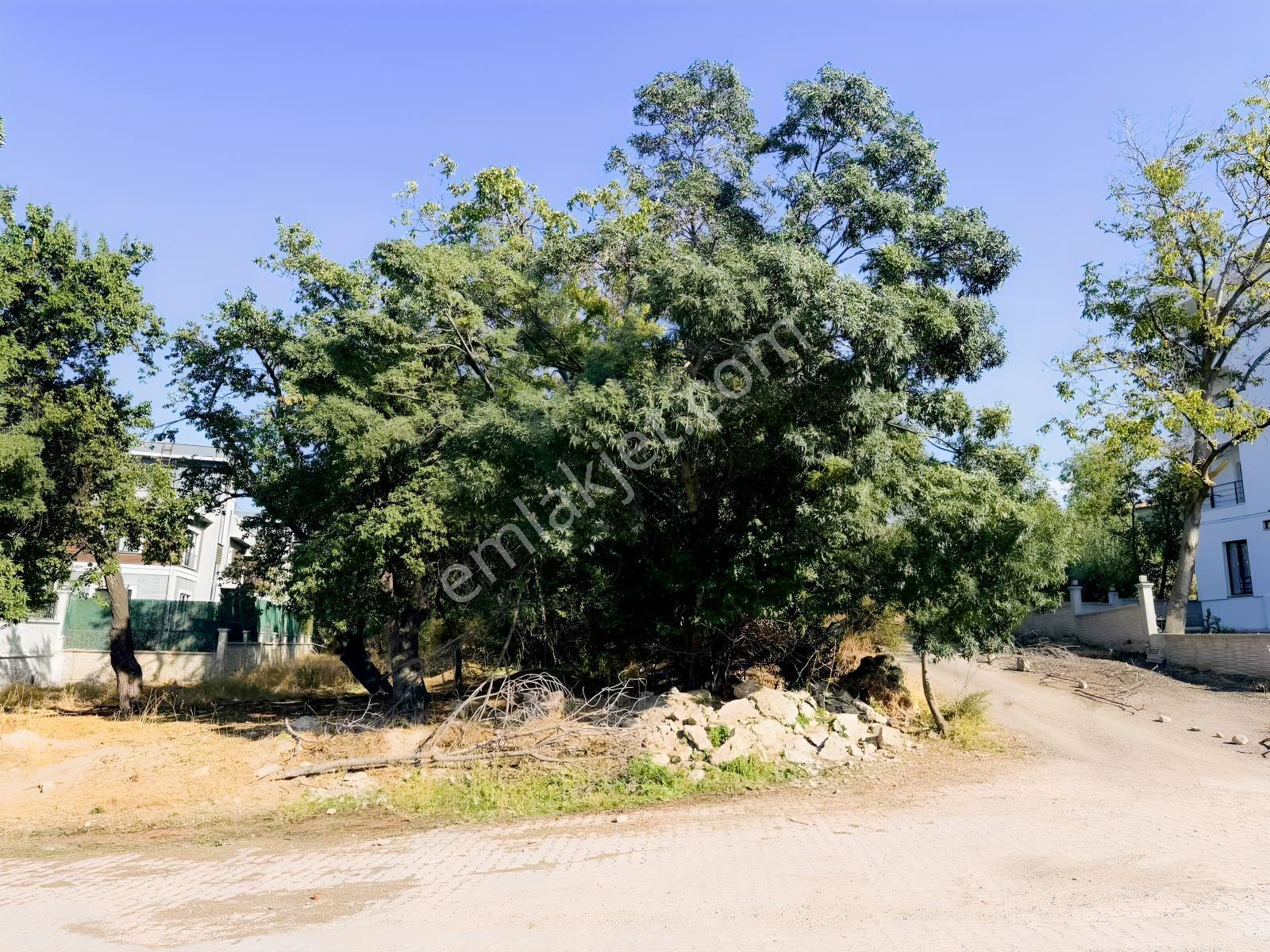 Edremit Merkezde Cami Arkasında Satılık Lüks 3+1 Daire — fotoğraf 10