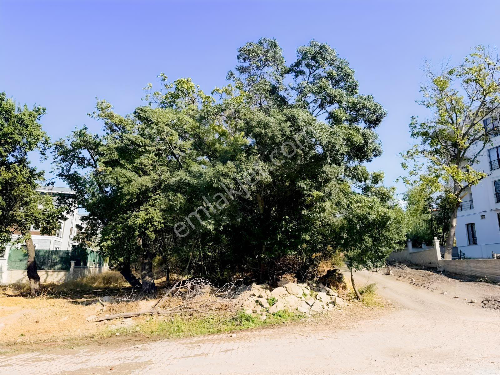 Edremit Merkezde Cami Arkasında Satılık Lüks 3+1 Daire — fotoğraf 11