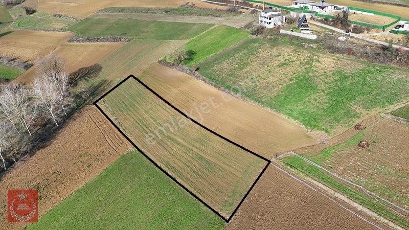 Adapazarı Büyükhatapli Da Yollu Arazi