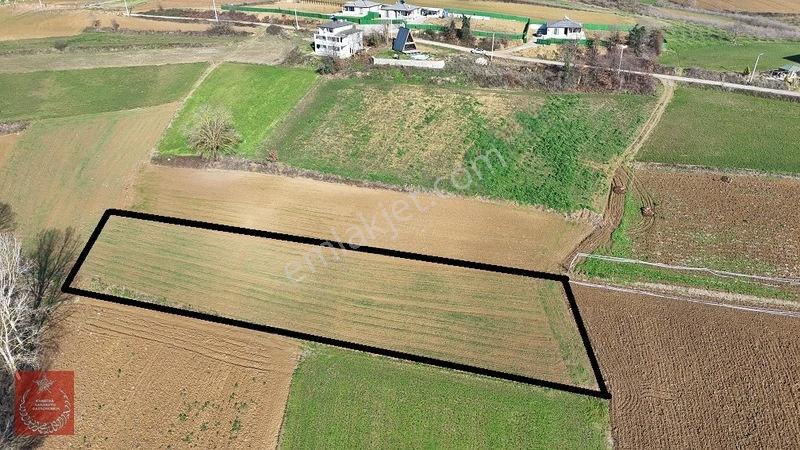Adapazarı Büyükhatapli Da Yollu Arazi — fotoğraf 2