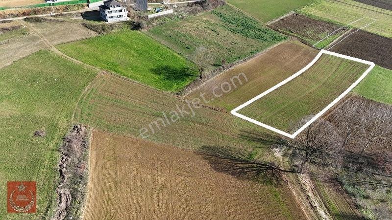 Adapazarı Büyükhatapli Da Yollu Arazi — fotoğraf 4