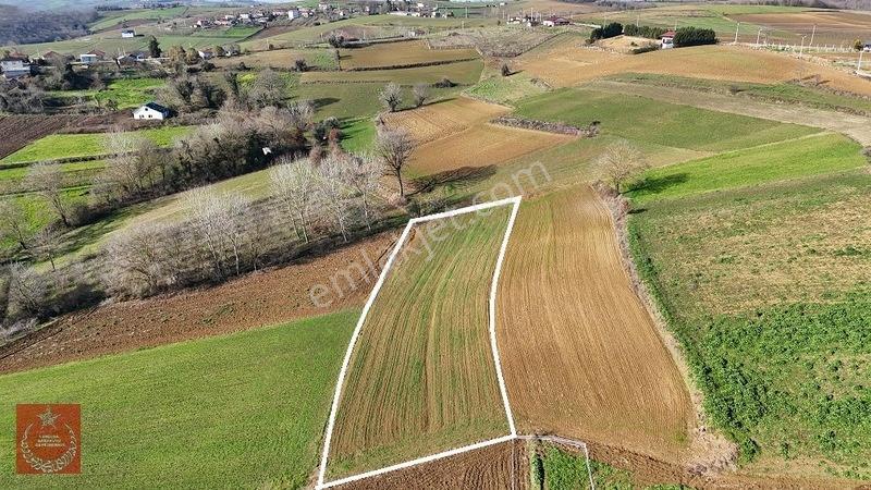 Adapazarı Büyükhatapli Da Yollu Arazi — fotoğraf 6