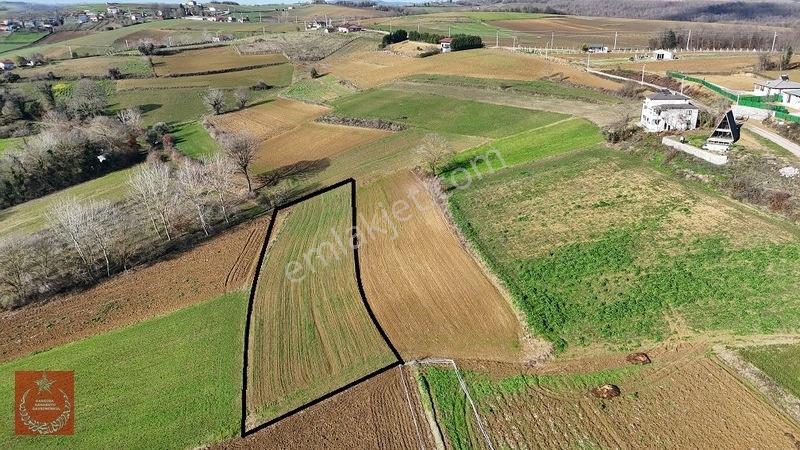 Adapazarı Büyükhatapli Da Yollu Arazi — fotoğraf 7