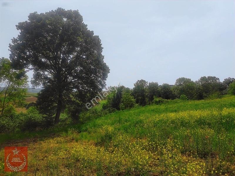Adapazarı Büyükhatapli Da Yollu Arazi — fotoğraf 11
