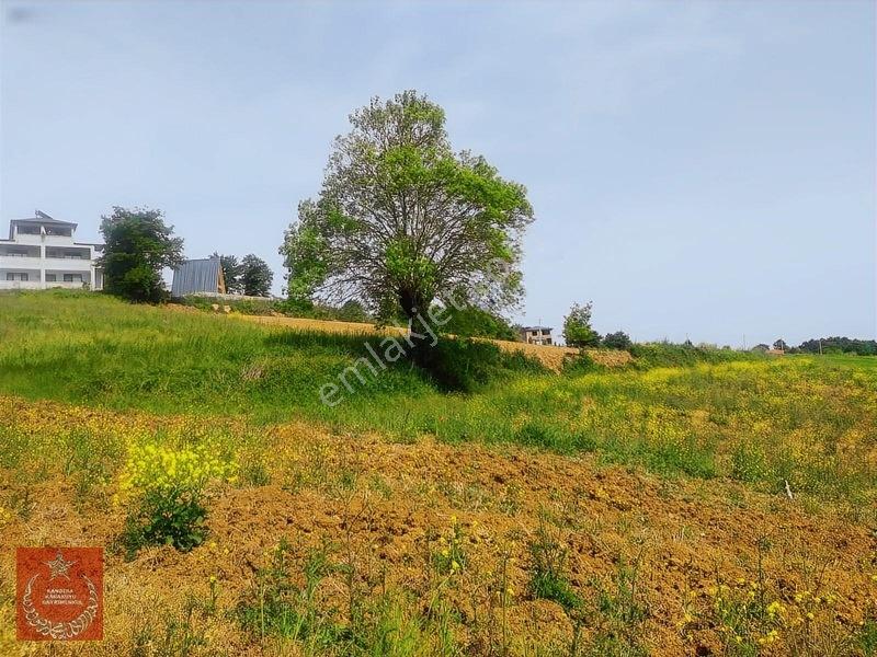 Adapazarı Büyükhatapli Da Yollu Arazi — fotoğraf 13