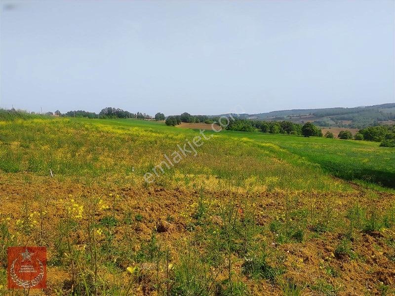 Adapazarı Büyükhatapli Da Yollu Arazi — fotoğraf 14