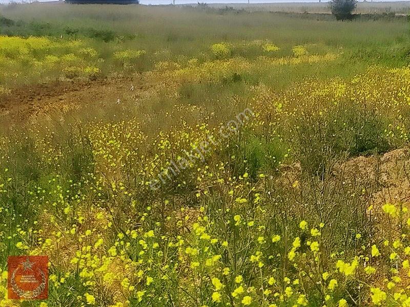 Adapazarı Büyükhatapli Da Yollu Arazi — fotoğraf 17