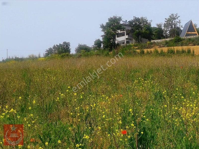 Adapazarı Büyükhatapli Da Yollu Arazi — fotoğraf 20