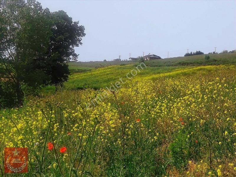Adapazarı Büyükhatapli Da Yollu Arazi — fotoğraf 21