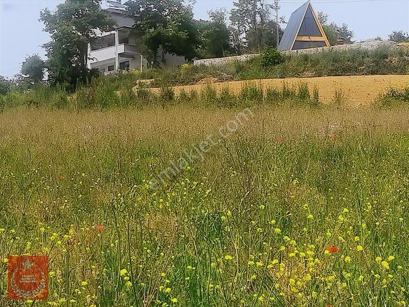 Adapazarı Büyükhatapli Da Yollu Arazi — fotoğraf 22