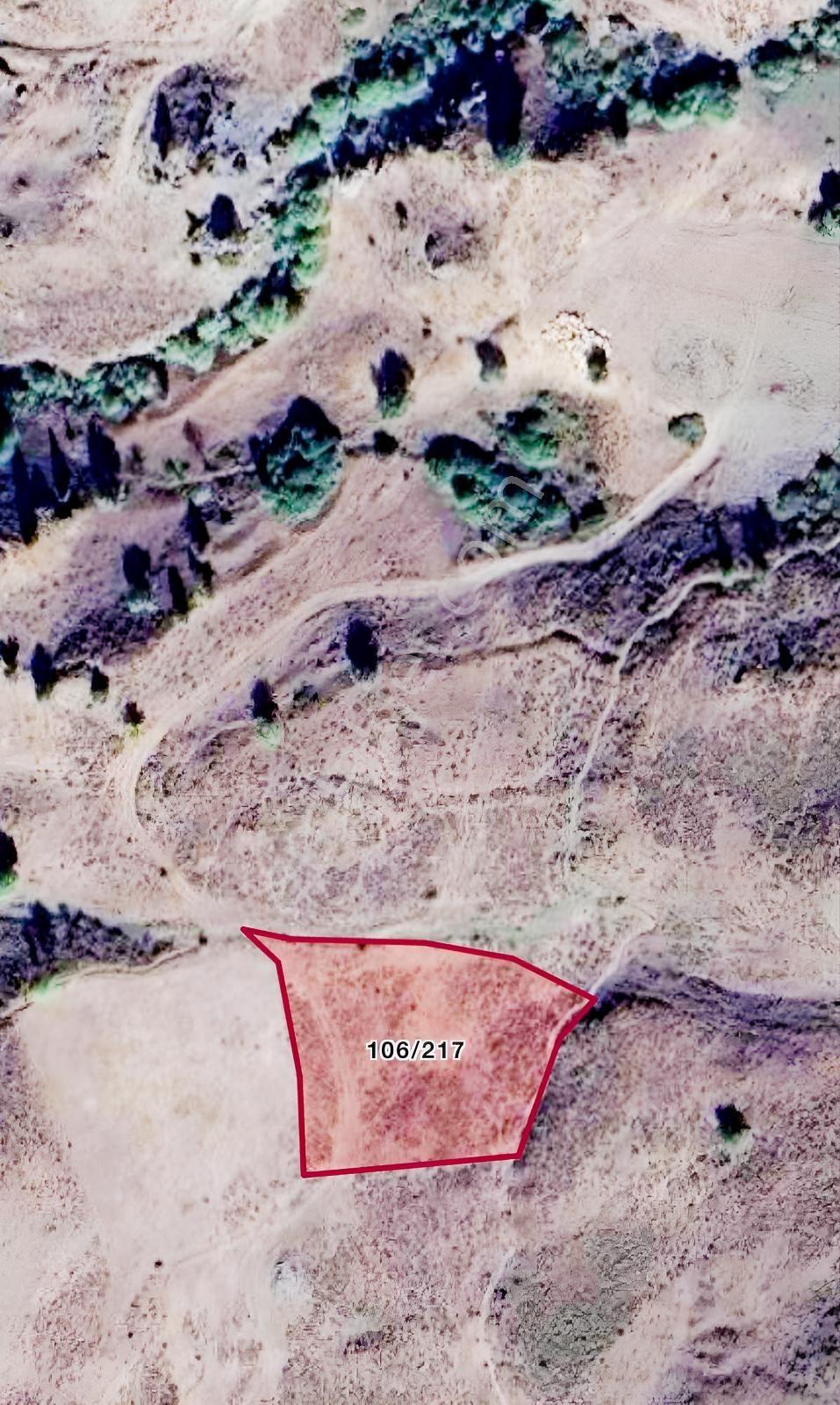 Tuncaygül'Den Satılık Sulu Tarlalar (Üzümlü)