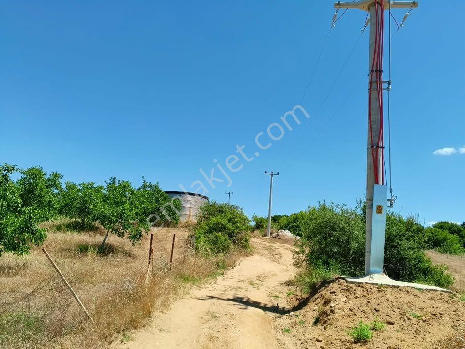 Tc Emlaktan Satılık ​ Toplam 220 Dönüm Arazi !! — fotoğraf 15