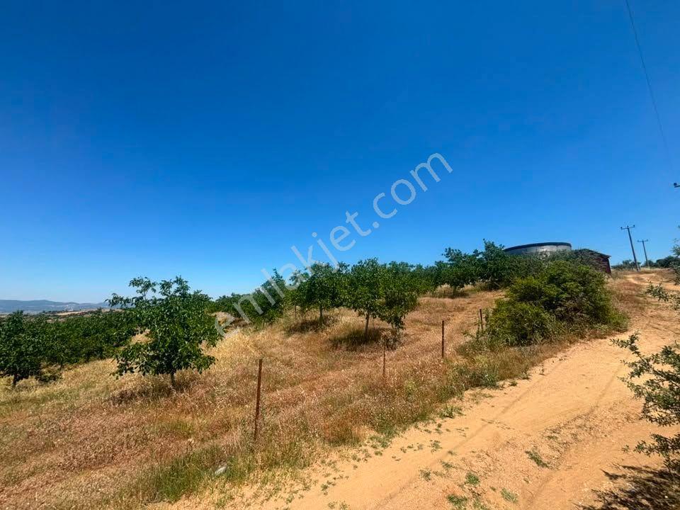 Tc Emlaktan Satılık ​ Toplam 220 Dönüm Arazi !! — fotoğraf 19