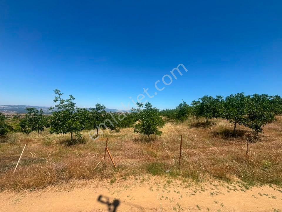 Tc Emlaktan Satılık ​ Toplam 220 Dönüm Arazi !! — fotoğraf 21