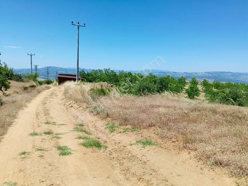 Tc Emlaktan Satılık ​ Toplam 220 Dönüm Arazi !! — fotoğraf 23