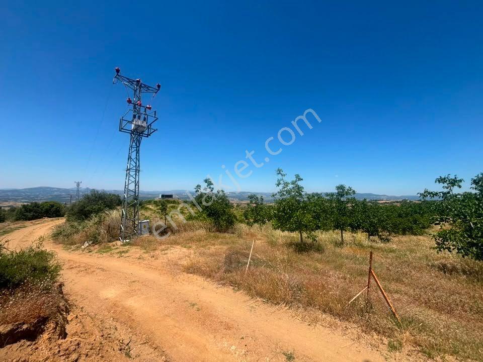 Tc Emlaktan Satılık ​ Toplam 220 Dönüm Arazi !! — fotoğraf 31