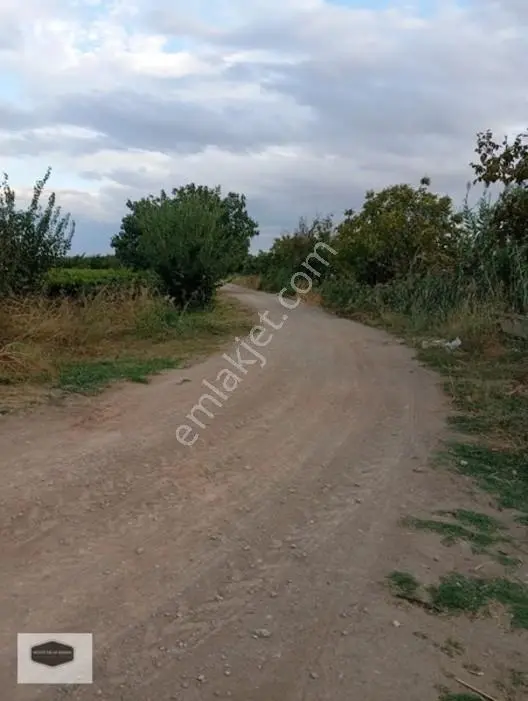 Manisa Ya 10 Dk Mesafe De Kayısı Ve Erik Bahçesi 2 Ayrı Parsel — fotoğraf 4