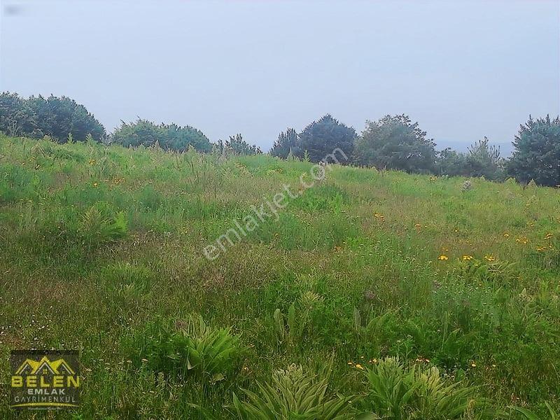 Guzel Verimli Toprak Yapısına Sahip Yatırımlık Yerimiz — fotoğraf 8