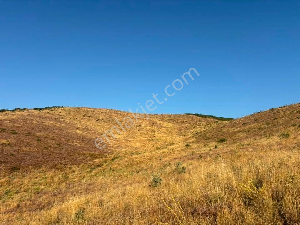 Tc Emlaktan Satılık 78 Dönüm Tarla ! — fotoğraf 11
