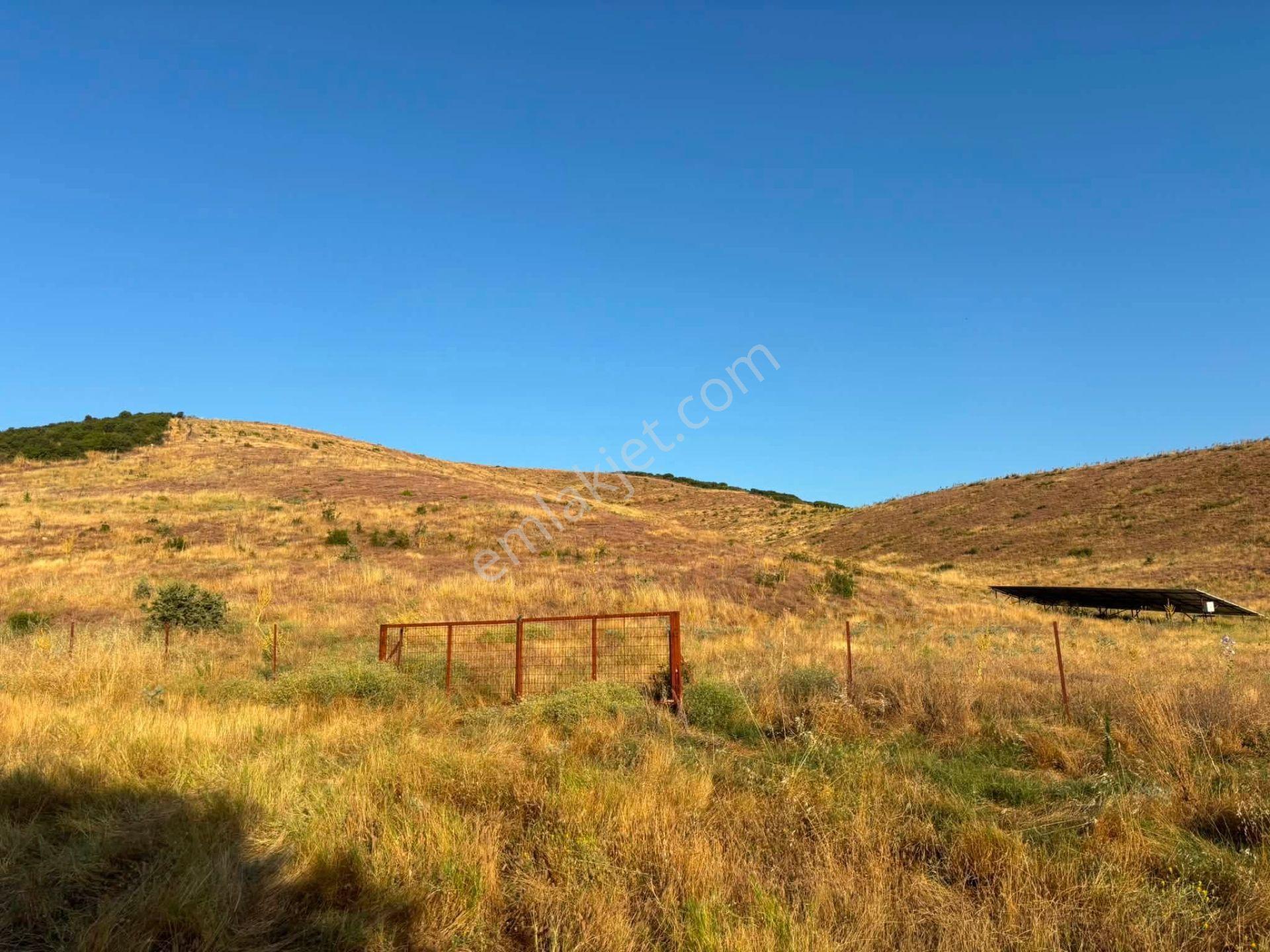 Tc Emlaktan Satılık 78 Dönüm Tarla ! — fotoğraf 23