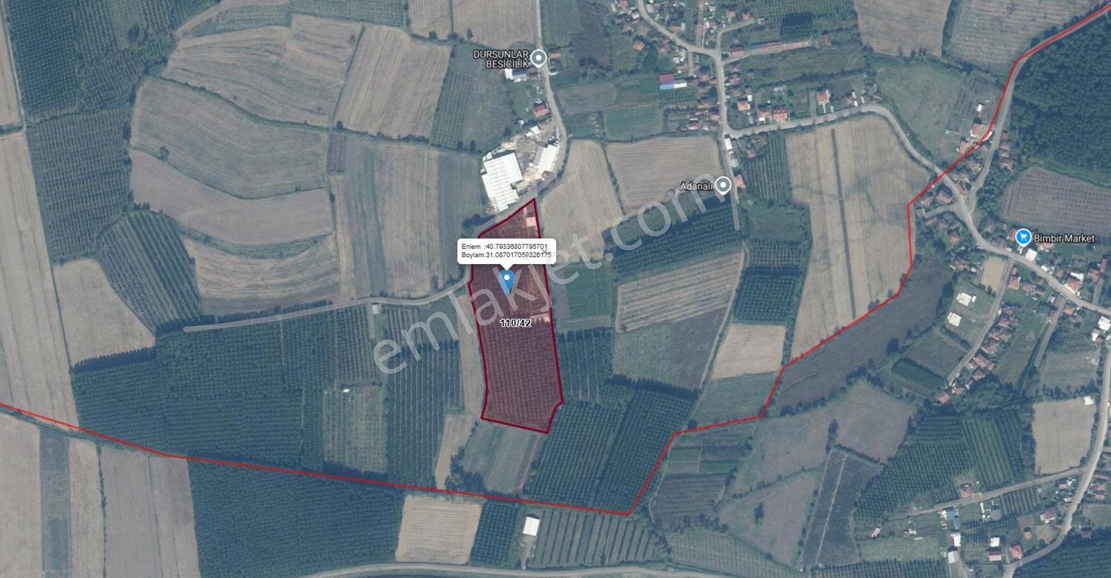 Kuşaçması Köyü 250ad Kavak + 4664 M2 Satılık Tarla — fotoğraf 8