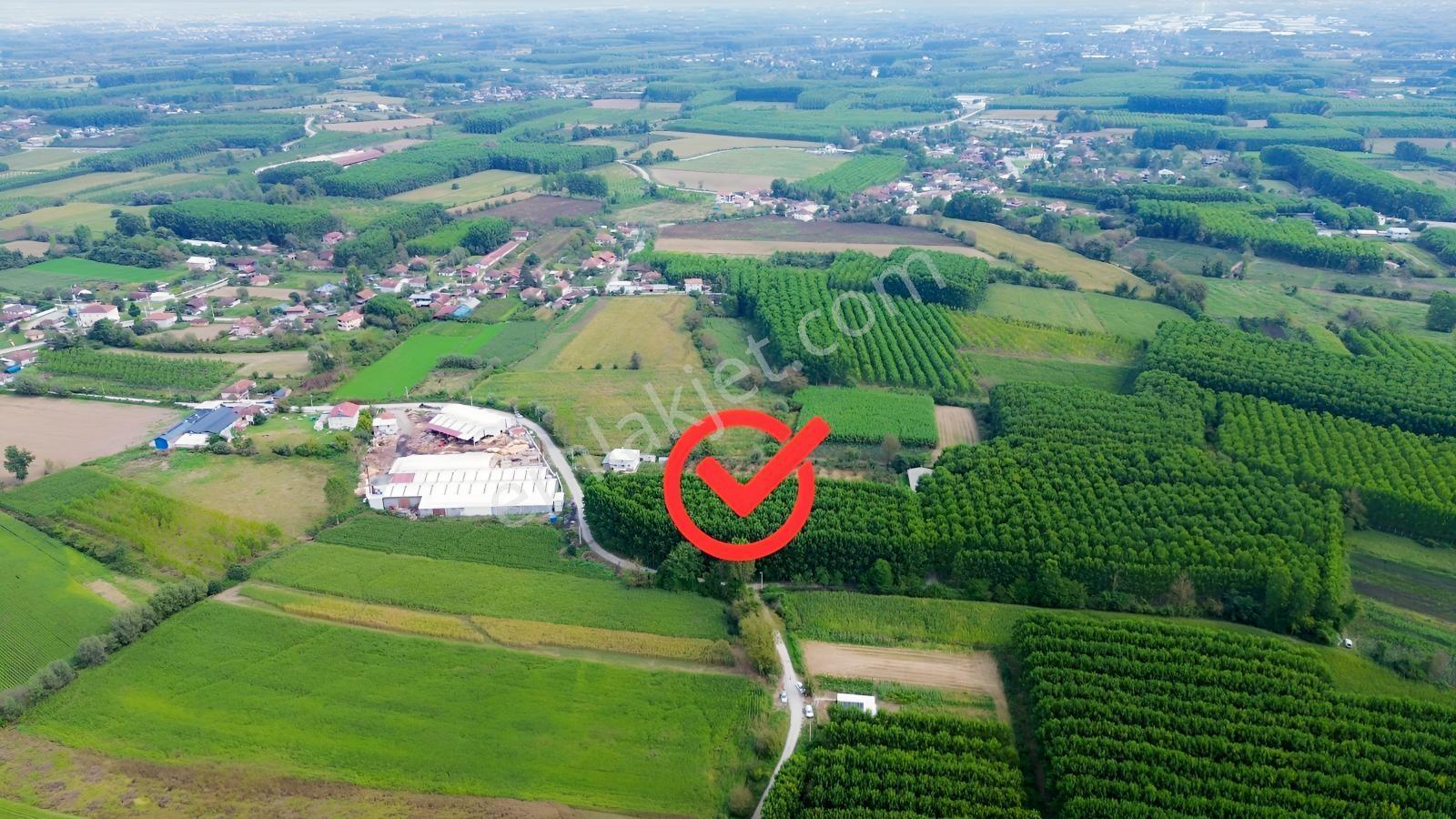 Kuşaçması Köyü 250ad Kavak + 4664 M2 Satılık Tarla — fotoğraf 9