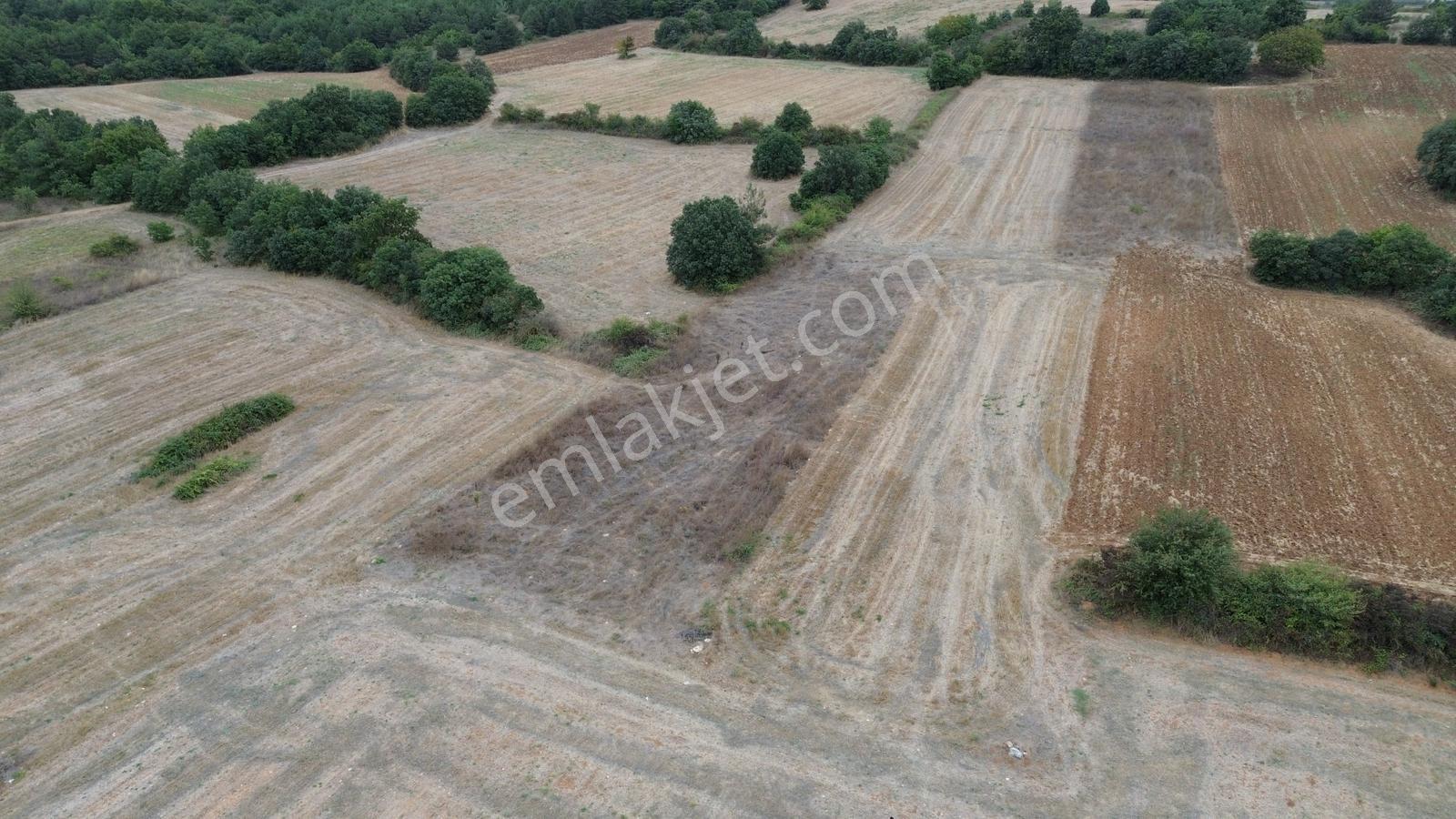 Kozluca'da Yatırımlık Fırsat Arazisi 1900m2 Tamamı Bu Fiyata!! — fotoğraf 8