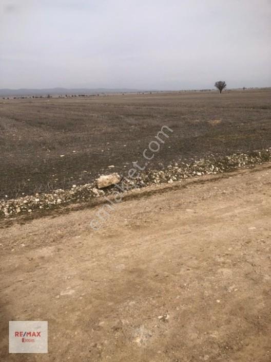 Uygun Fiyata Yatırımlık Yer Arayanlar İçin 2947 M2 Tarla — fotoğraf 5