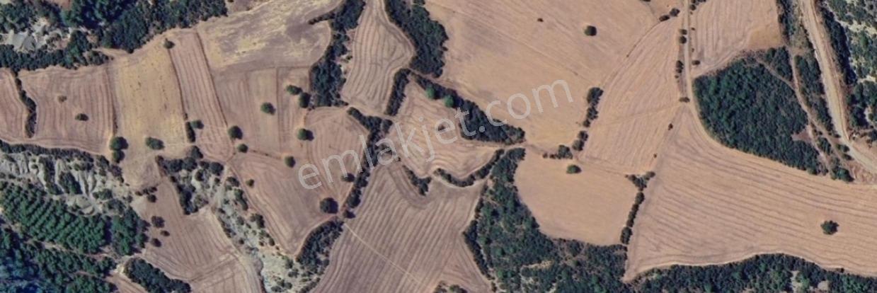 Gelibolu Değirmendüzü'nde 4.633 M² Müstakil Tapulu Satılık Bağ — fotoğraf 3