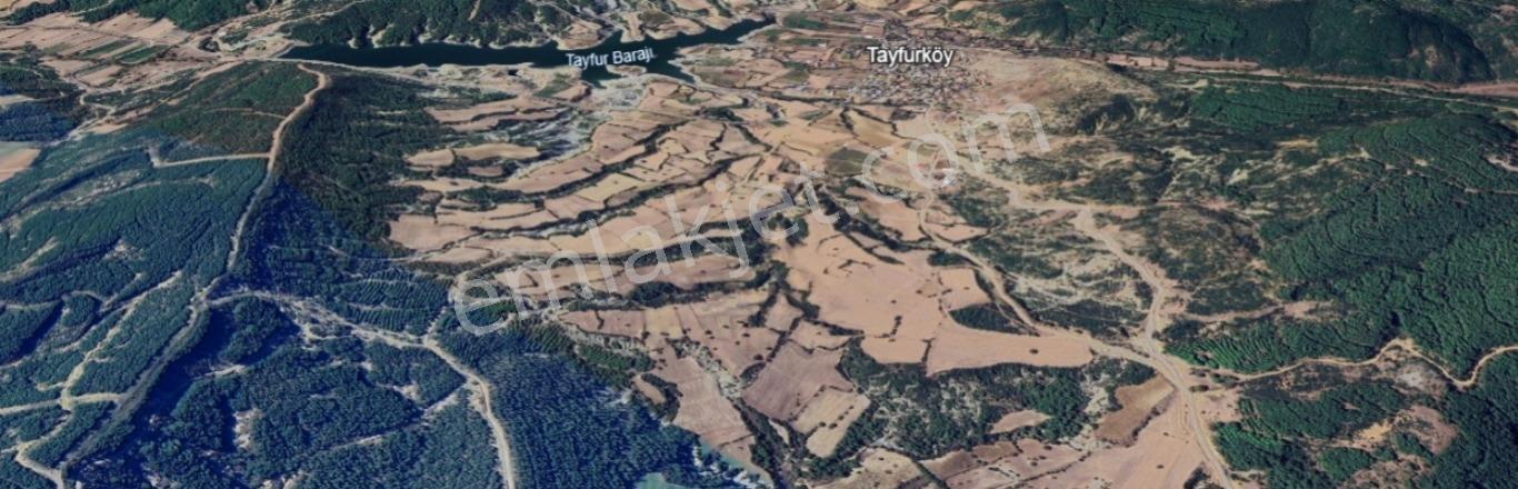 Gelibolu Değirmendüzü'nde 4.633 M² Müstakil Tapulu Satılık Bağ — fotoğraf 4