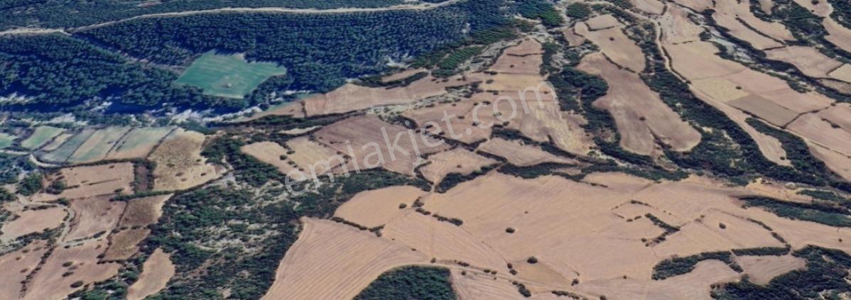 Gelibolu Değirmendüzü'nde 4.633 M² Müstakil Tapulu Satılık Bağ — fotoğraf 5