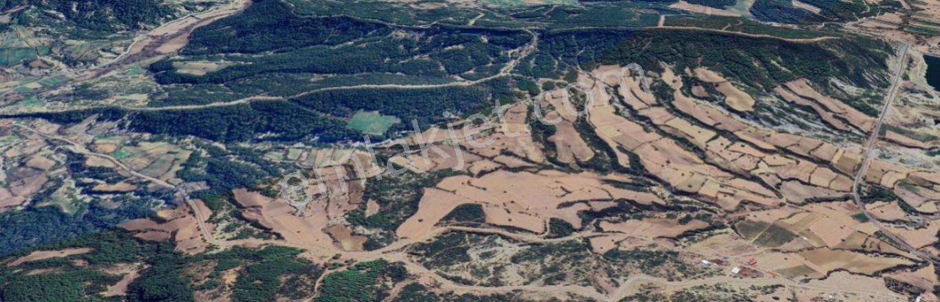 Gelibolu Değirmendüzü'nde 4.633 M² Müstakil Tapulu Satılık Bağ — fotoğraf 6