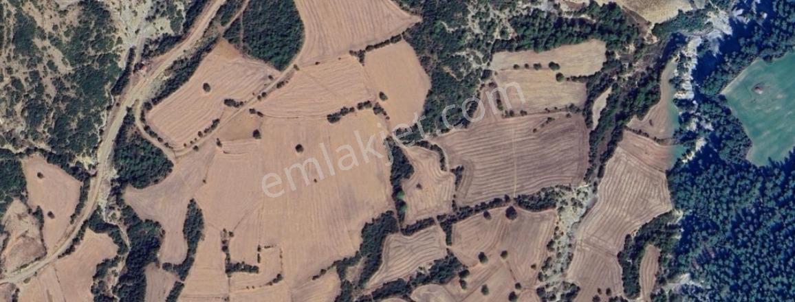 Gelibolu Değirmendüzü'nde 4.633 M² Müstakil Tapulu Satılık Bağ — fotoğraf 7