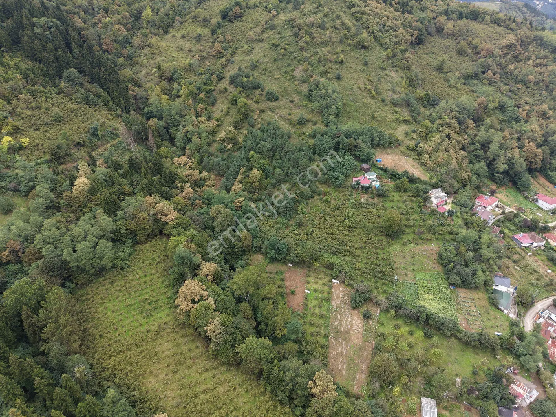 Trabzon Maçka Öğütlüde Satılık Arazi — fotoğraf 3