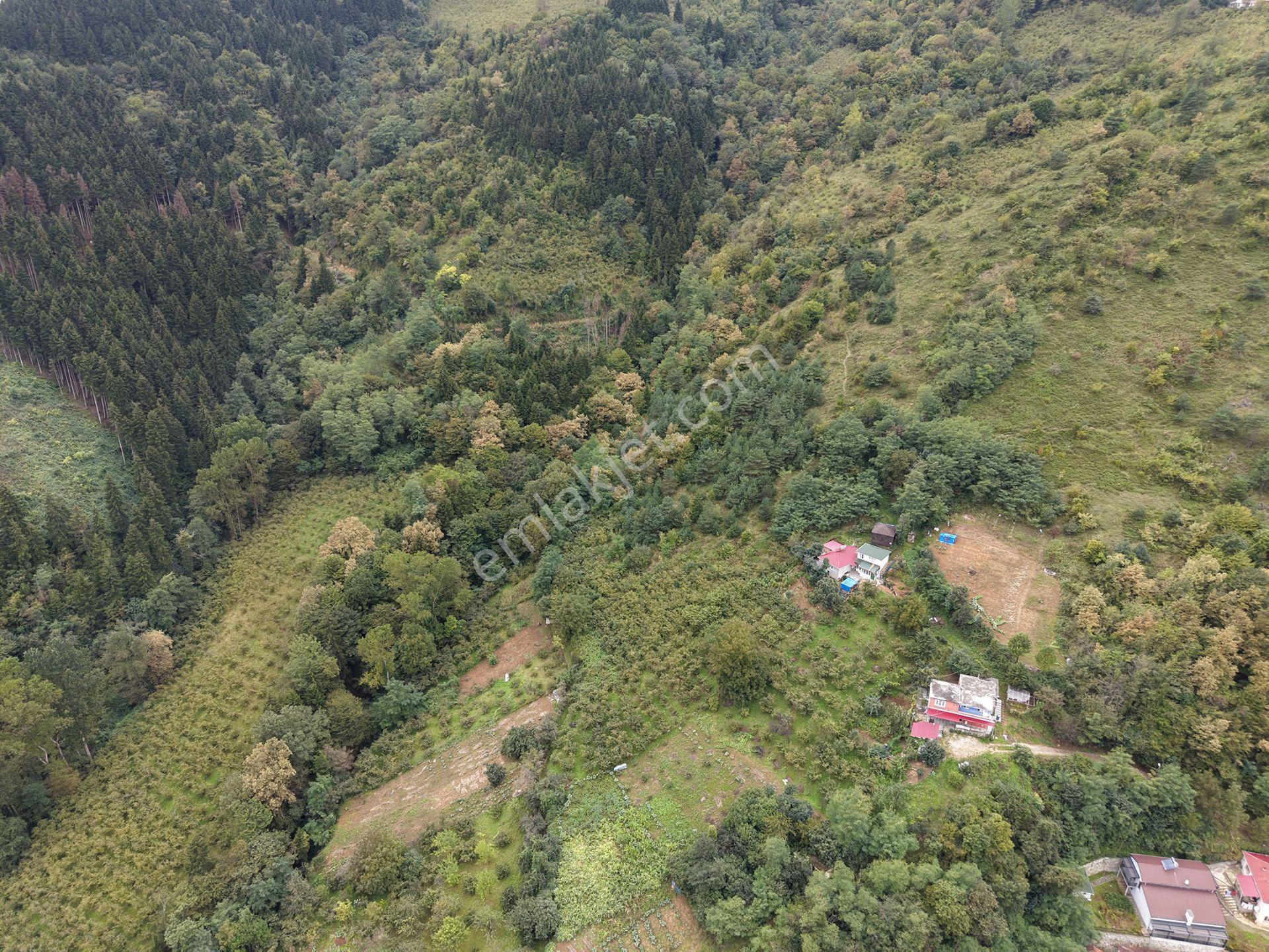 Trabzon Maçka Öğütlüde Satılık Arazi — fotoğraf 6