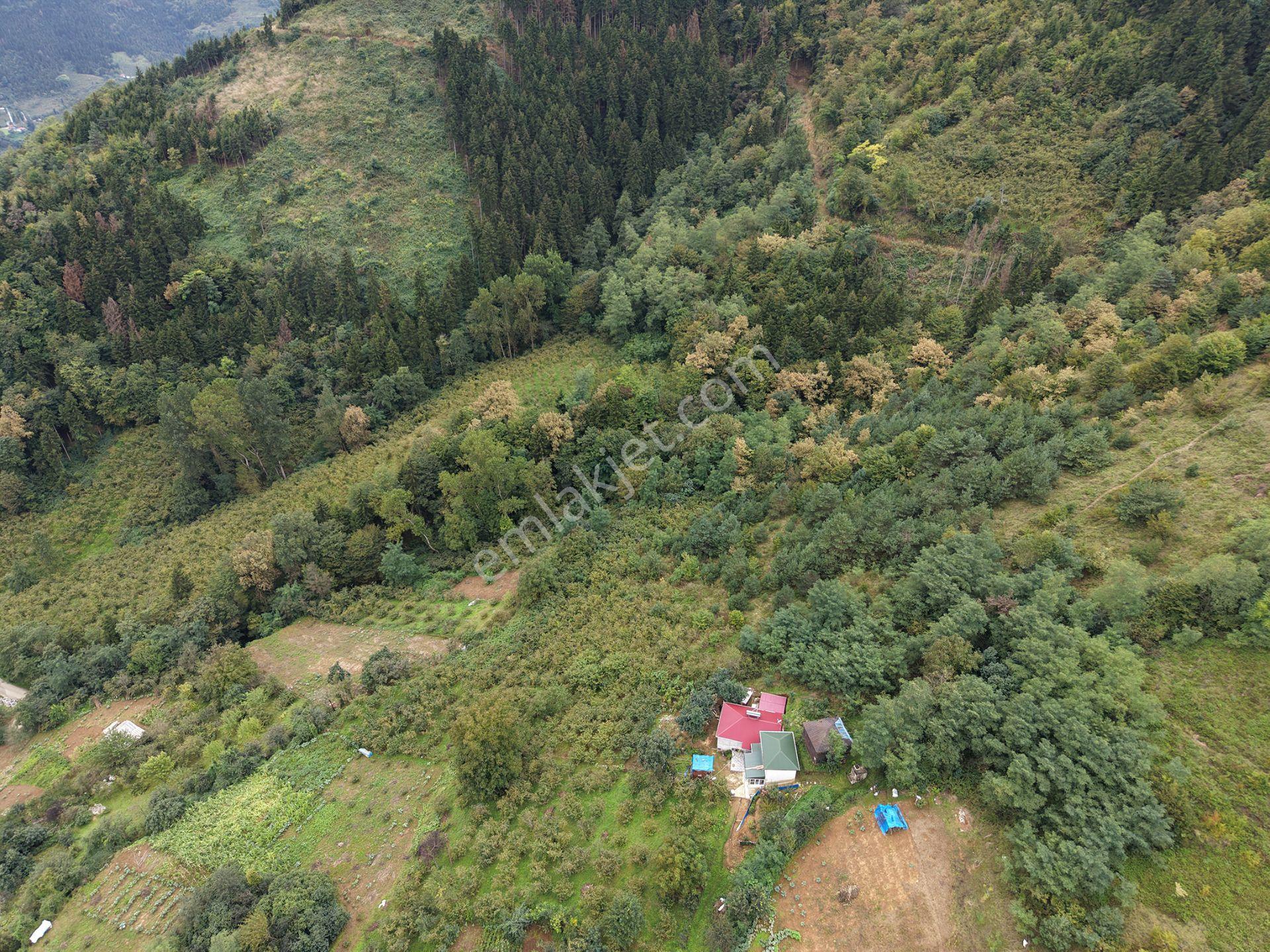 Trabzon Maçka Öğütlüde Satılık Arazi — fotoğraf 7