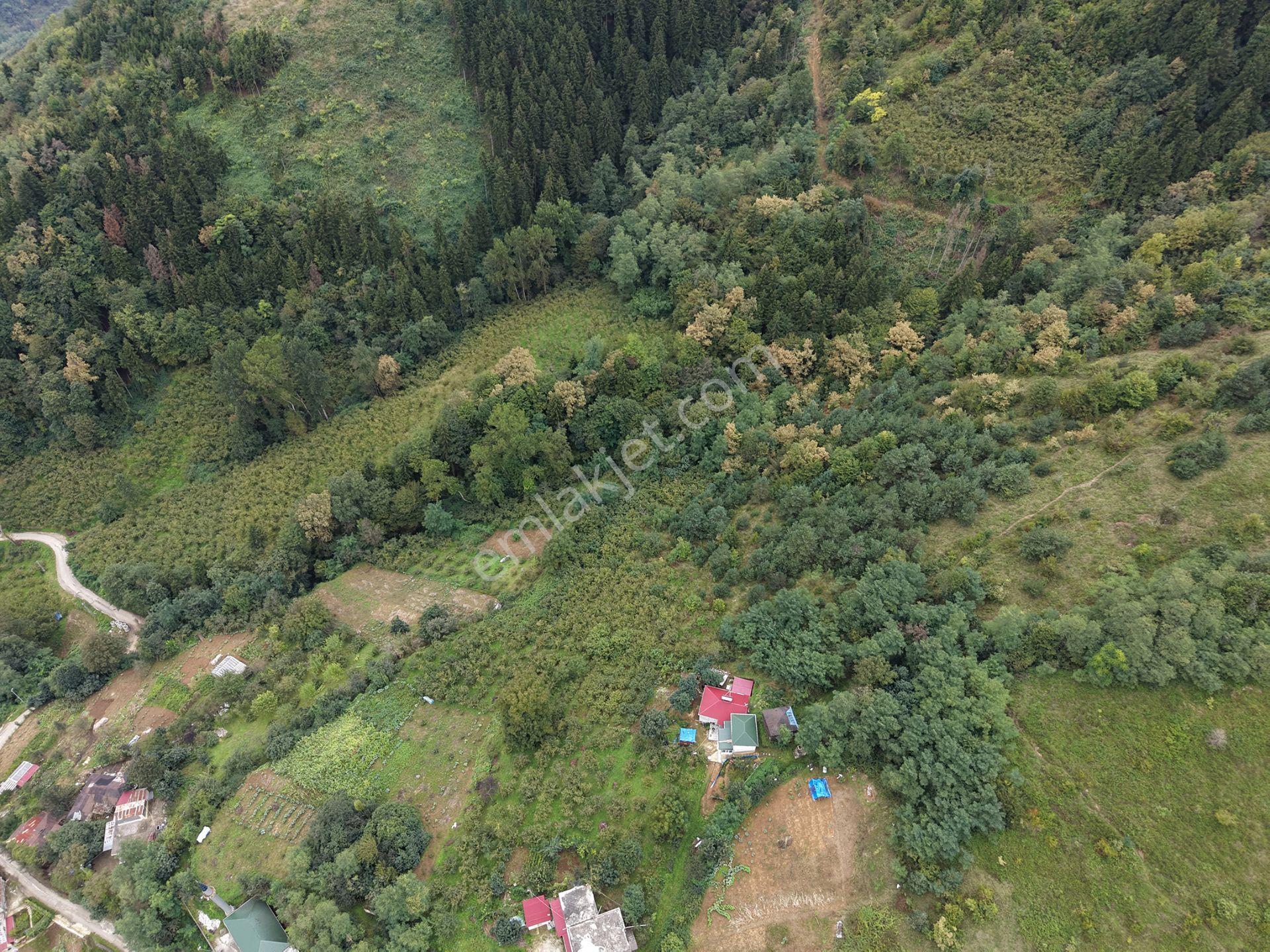 Trabzon Maçka Öğütlüde Satılık Arazi — fotoğraf 8