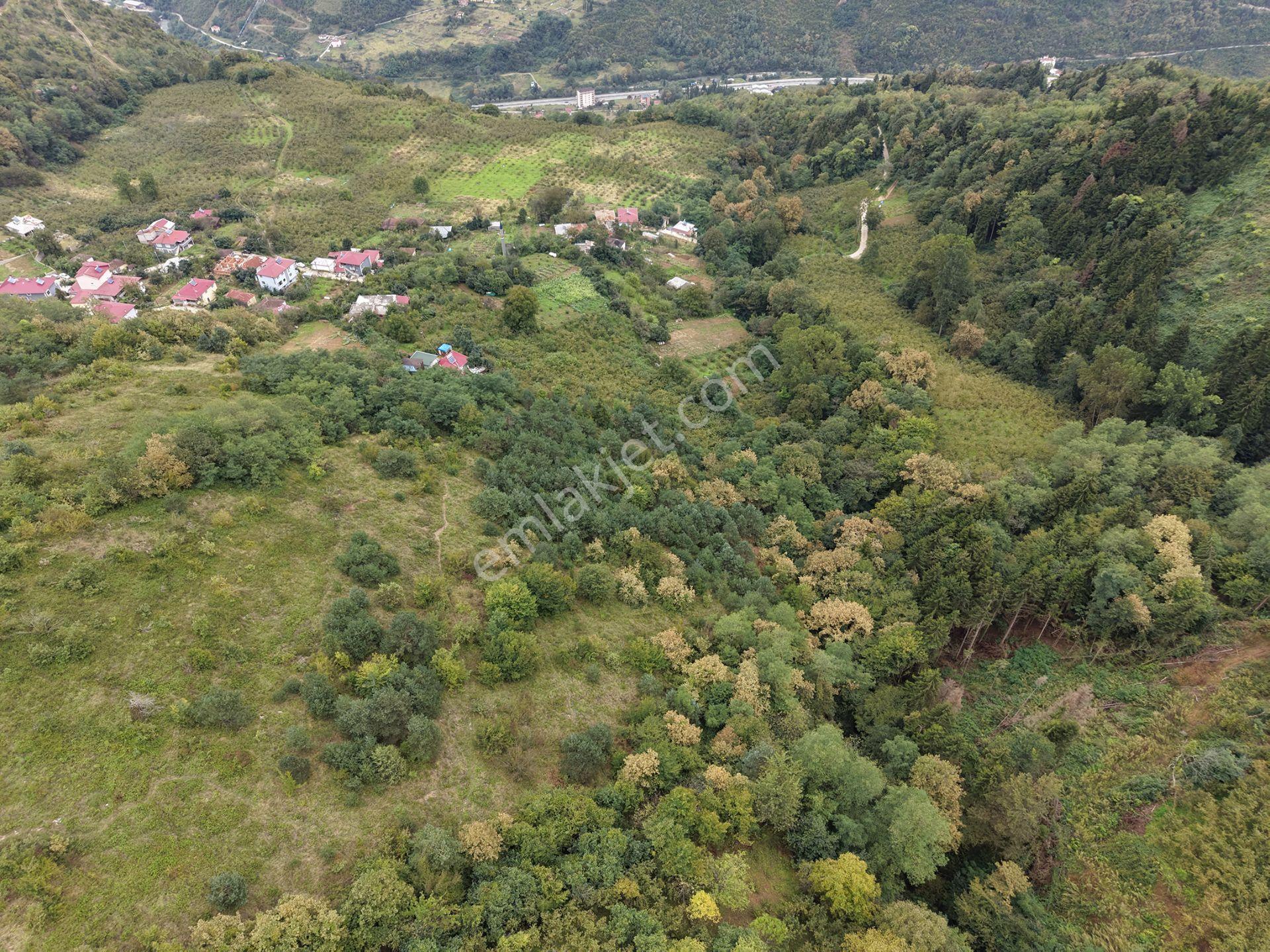 Trabzon Maçka Öğütlüde Satılık Arazi — fotoğraf 9