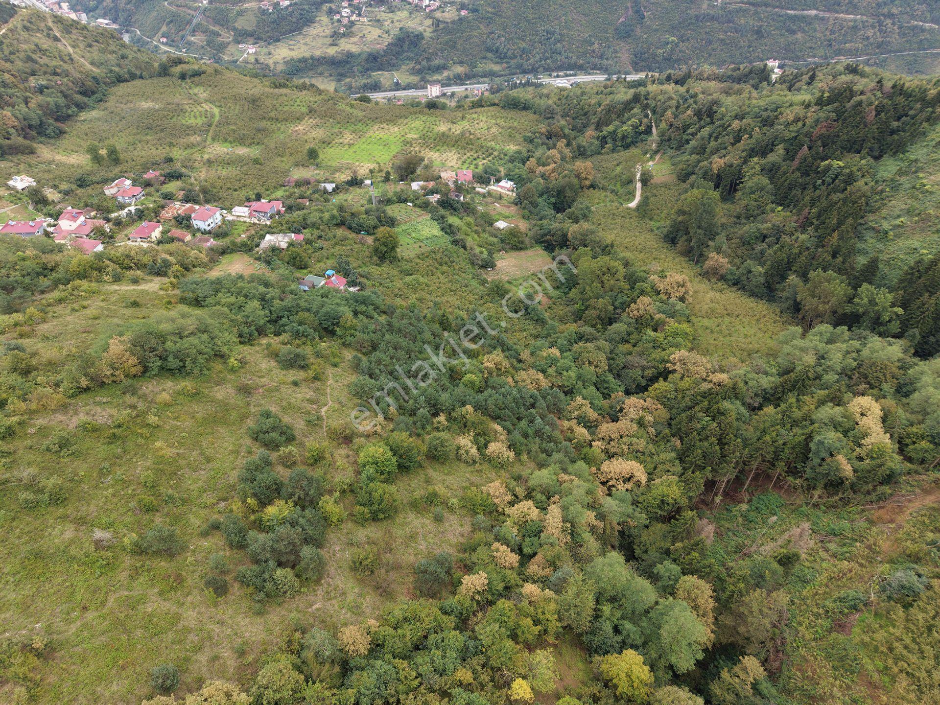 Trabzon Maçka Öğütlüde Satılık Arazi — fotoğraf 10