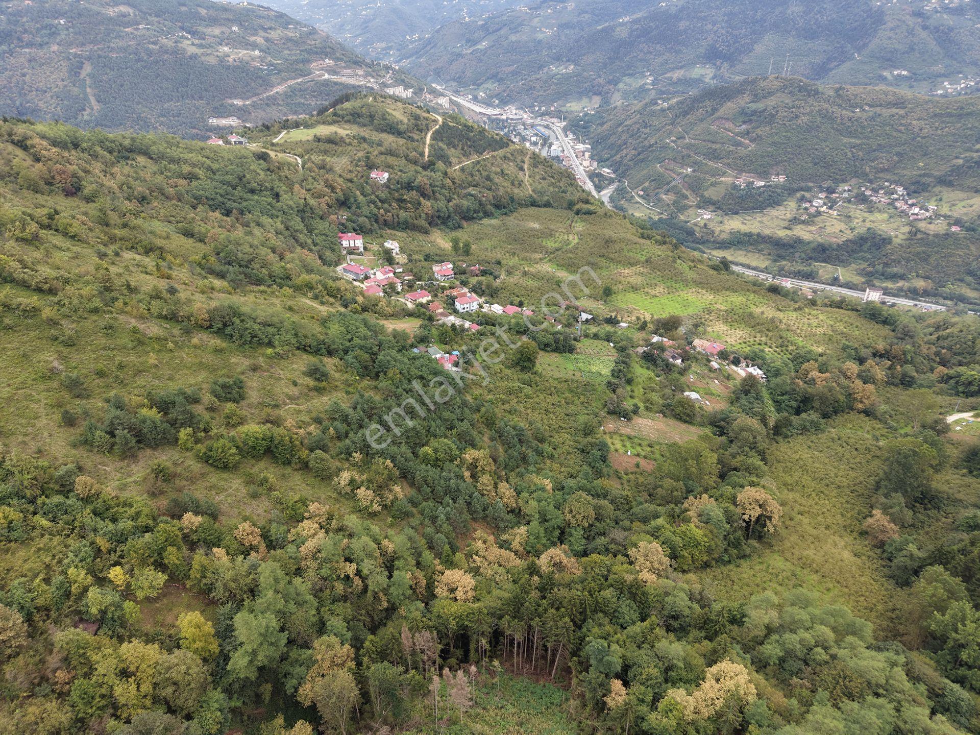 Trabzon Maçka Öğütlüde Satılık Arazi — fotoğraf 11
