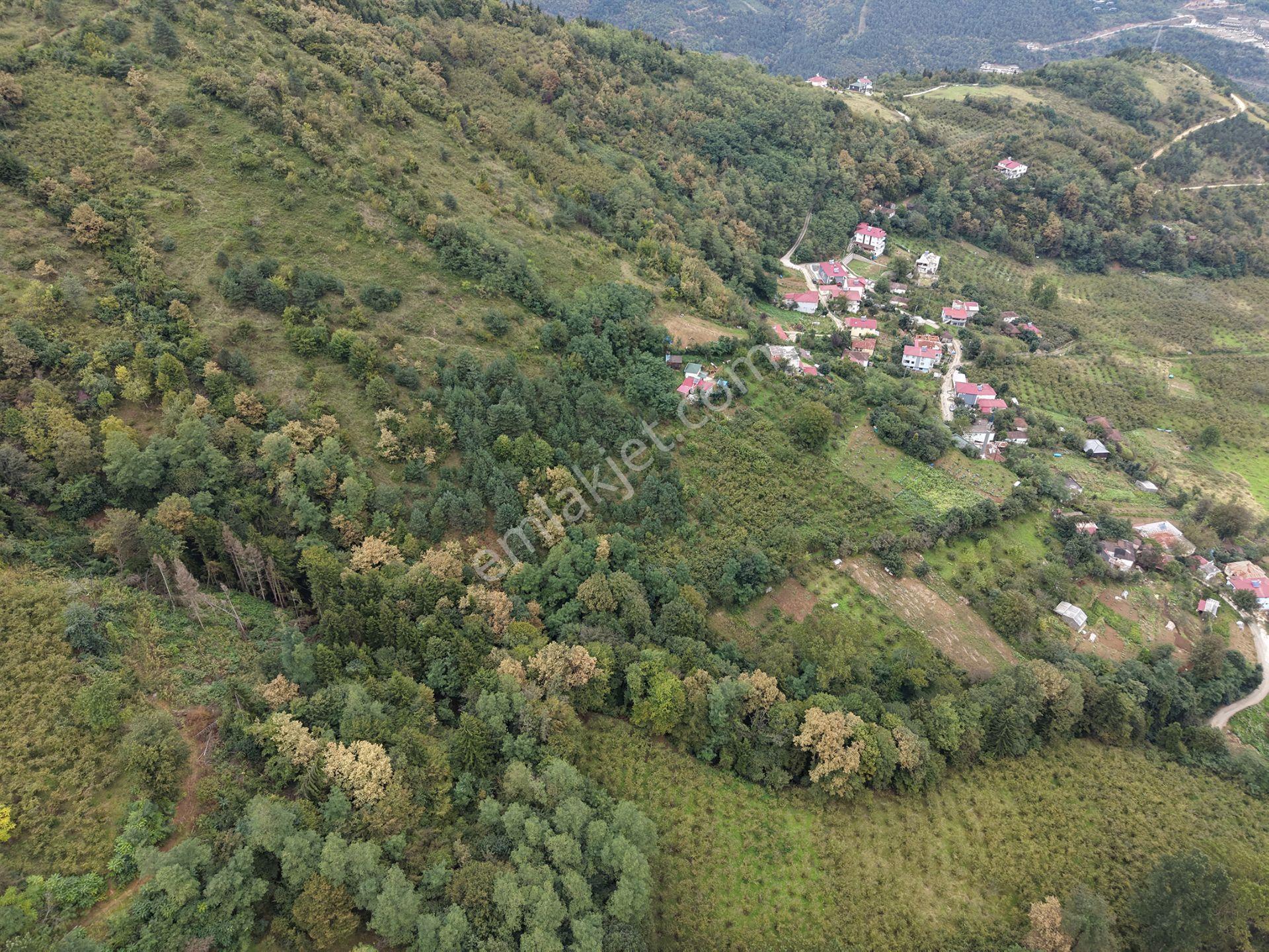 Trabzon Maçka Öğütlüde Satılık Arazi — fotoğraf 12